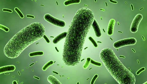 Berikut Ini Bakteri-Bakteri Yang Ada Di Mulut Kita Yang Menyebabkab Mulut Menjadi Bau