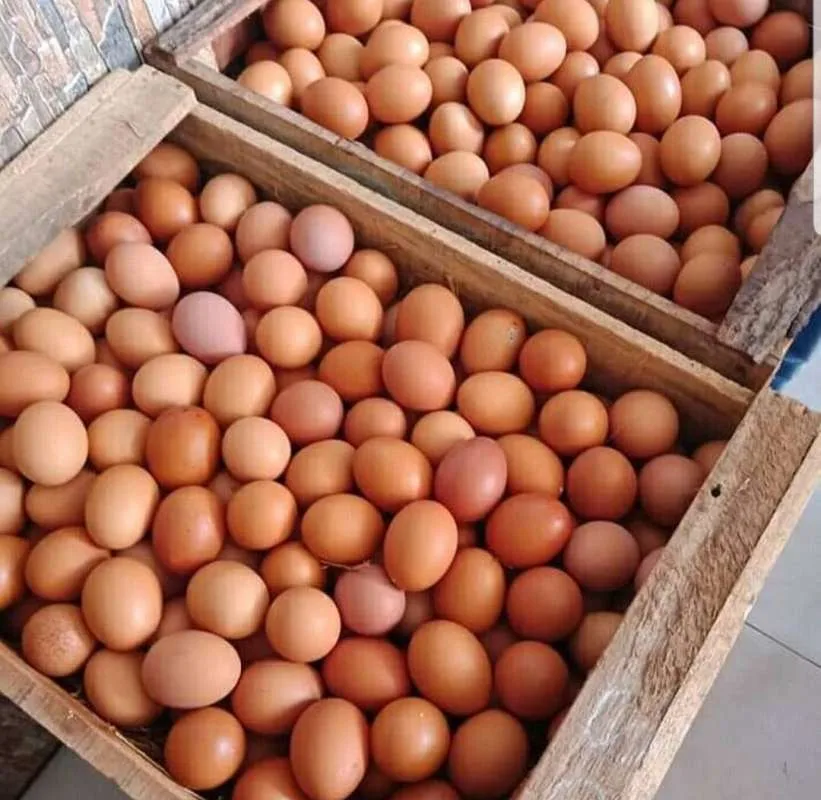 Kuning Telur Juga Memiliki Khasiat Tersendirinya Bagi Kesehatan Tubuh Kita